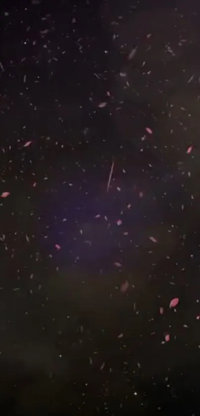 Dark galaxy night with pink falling petals.