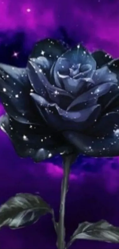 A galaxy-styled rose on a purple sky background.