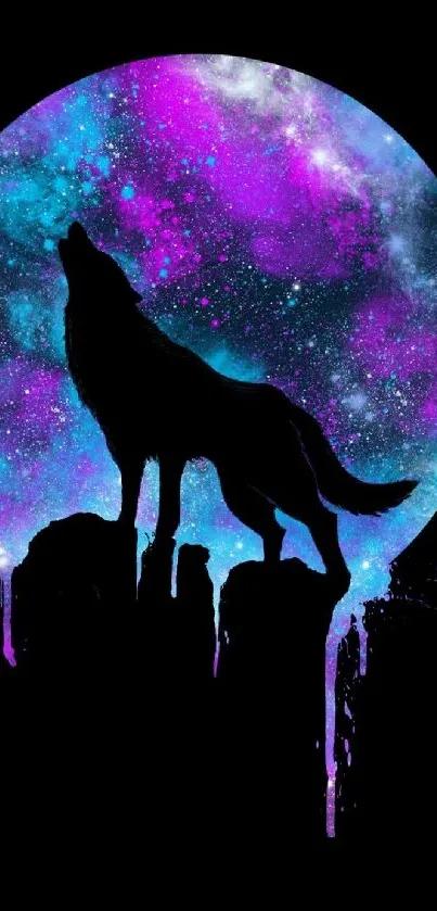 Silhouette of a wolf against a vibrant galaxy background with stars.