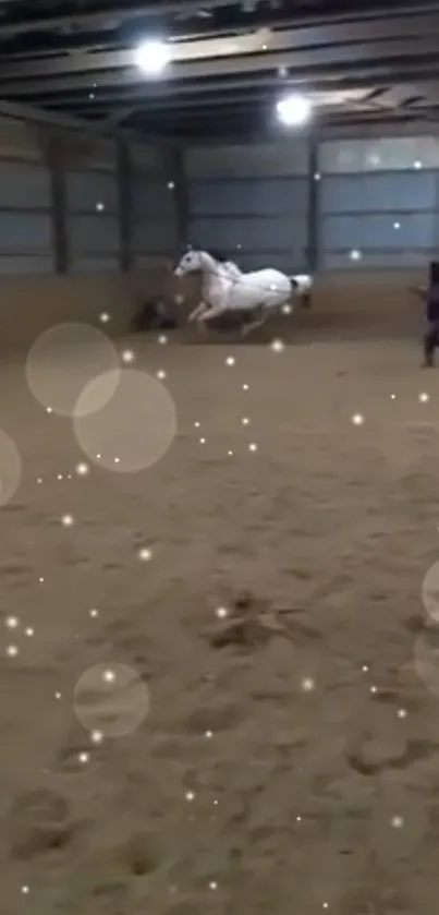 White horse galloping in an indoor arena sparking with light effects.