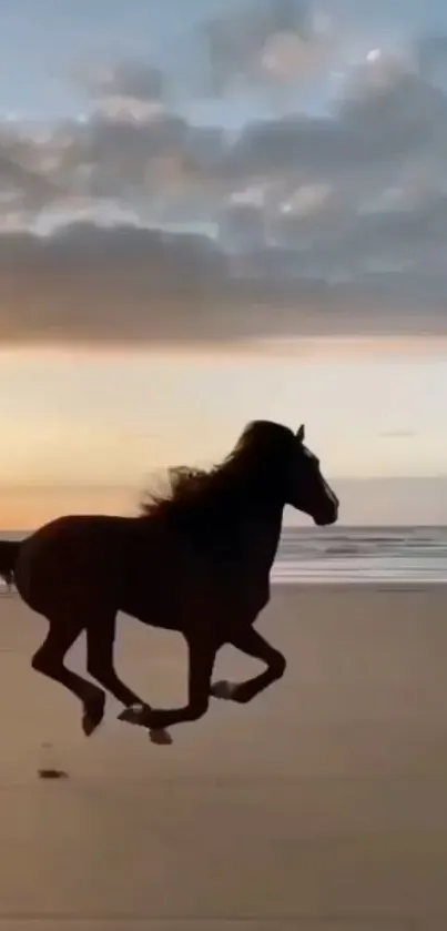 Silhouette of a horse running on a beach at sunset with a serene ocean backdrop.