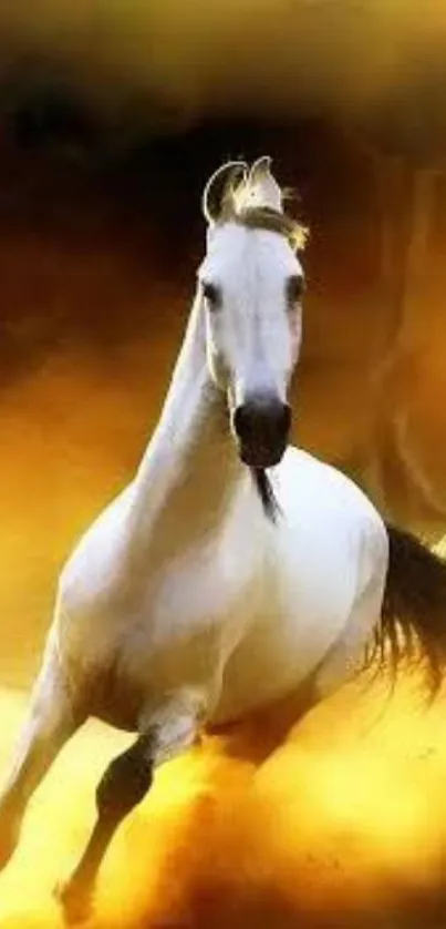 Galloping white horse on golden background wallpaper.