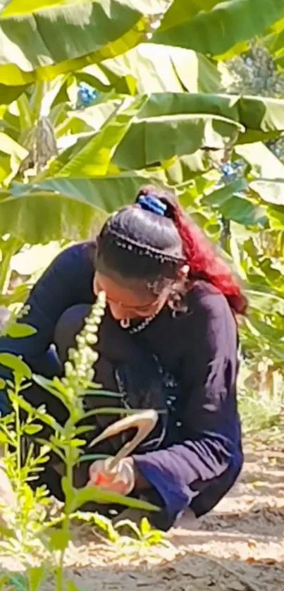 A gardener working under banana leaves in a lush, green farm setting.