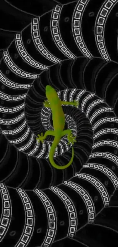 Green gecko on a black and white spiral pattern wallpaper.