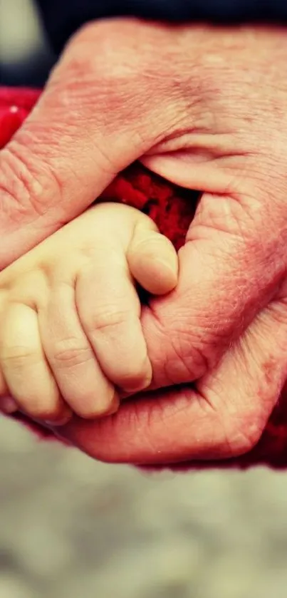 Elder and child hands showing generational love and connection.