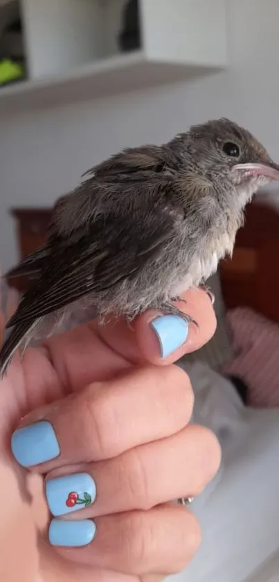 Bird perched on a hand with light blue nails.