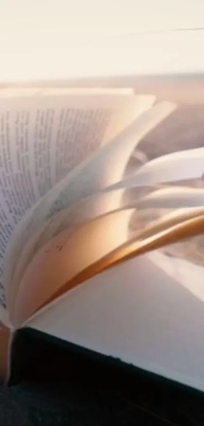 Open book with pages turning in sunlight