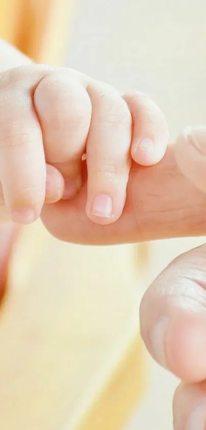 Child's hand gently holding a finger, symbolizing connection.