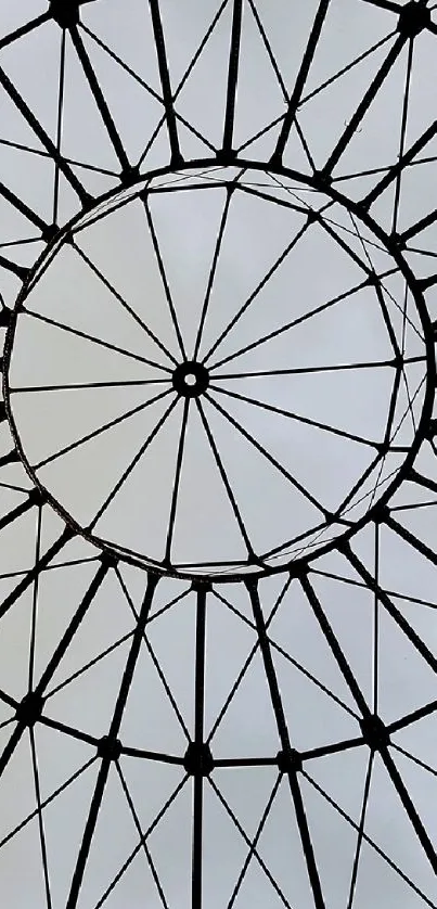 Intricate geometric dome design in grayscale pattern for mobile wallpaper.