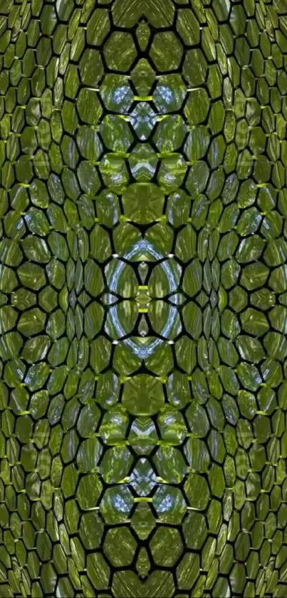 A vibrant green geometric hexagon pattern wallpaper.