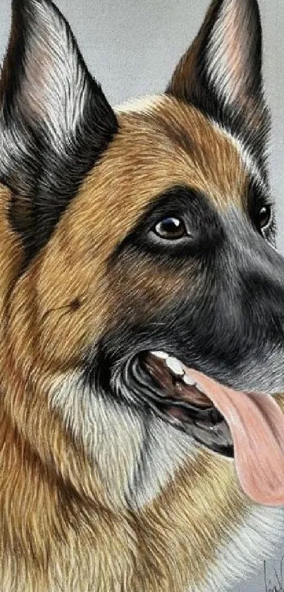 Illustrated portrait of a German Shepherd dog with gray background.