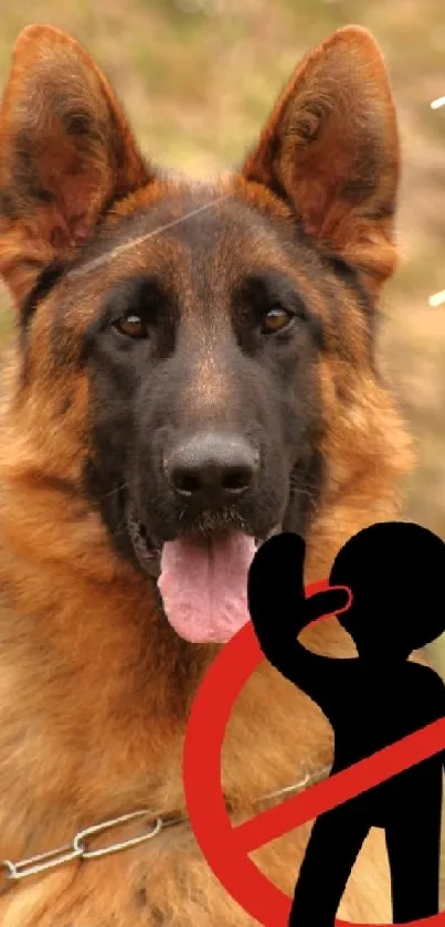 Portrait of a German Shepherd dog on a natural background.