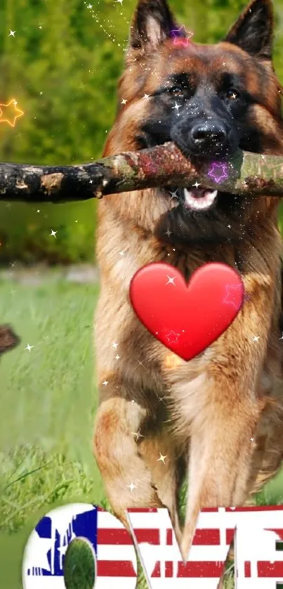 German Shepherd with stick and heart in green field wallpaper.