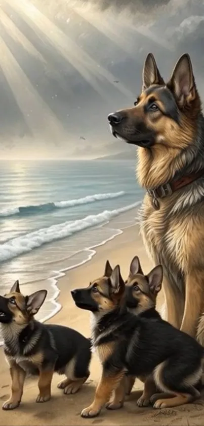 German Shepherd family enjoying the beach.