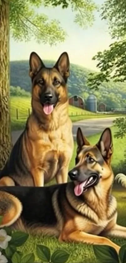 Two German Shepherds relaxing in a lush countryside setting.