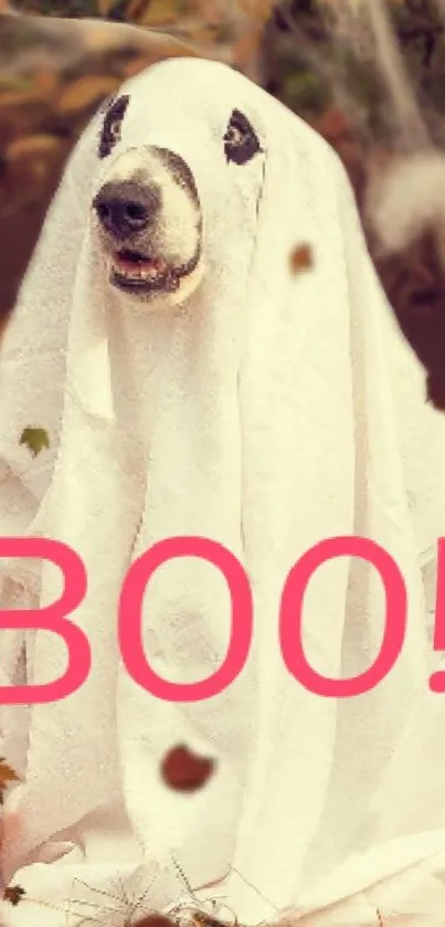 Dog in a ghost costume with 'BOO!' text, Halloween theme.