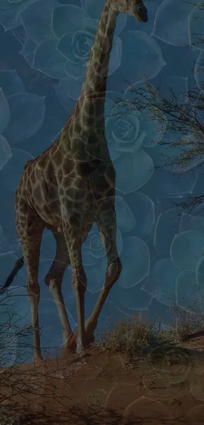 Giraffe walking in a desert with teal succulent overlays.