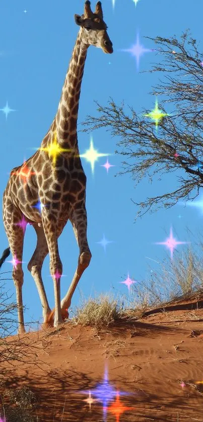 Giraffe Giraffidae Sky Live Wallpaper