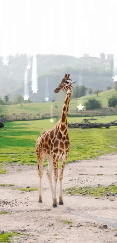 Giraffe standing on a starry landscape with green fields.