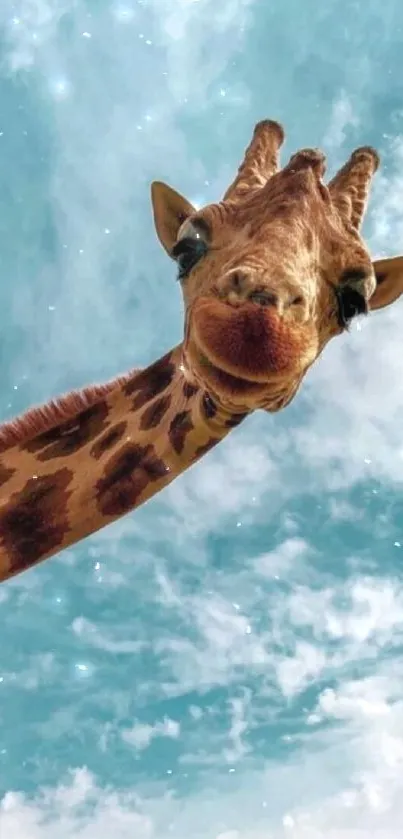 Giraffe looking down from a blue sky with clouds background.