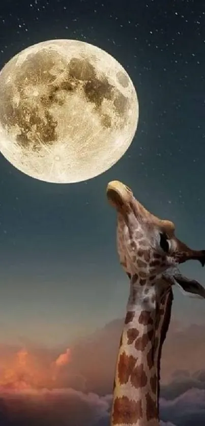 Giraffe reaching towards a bright full moon in a starry night sky.