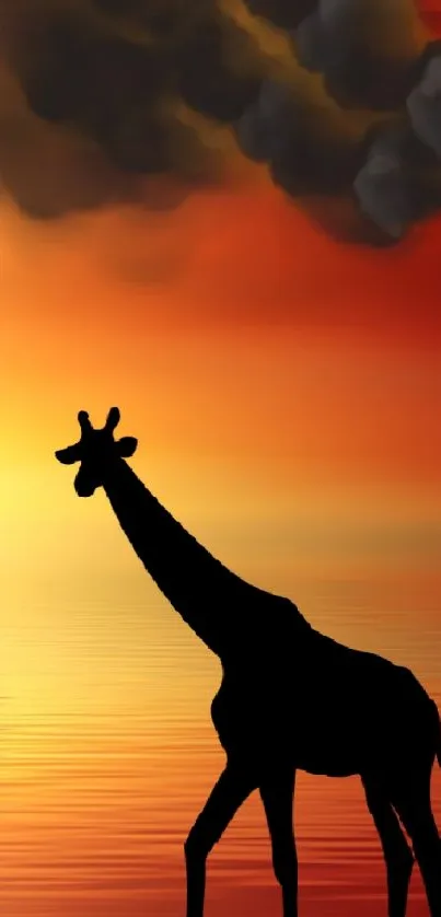 Giraffe silhouette against a vibrant sunset backdrop.