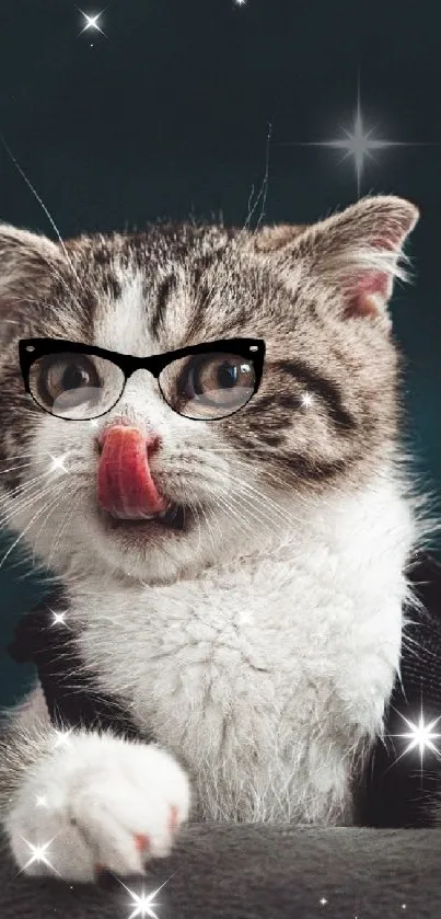 Glasses Cat Felidae Live Wallpaper