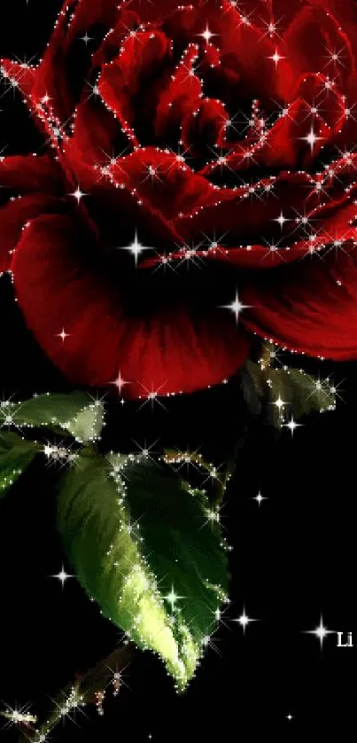 Sparkling red rose on a dark background with green leaves.