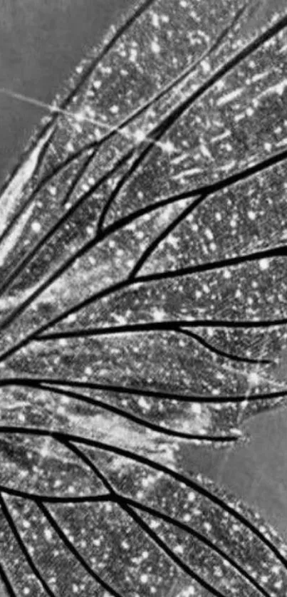 Close-up image of a sparkling butterfly wing in grayscale.