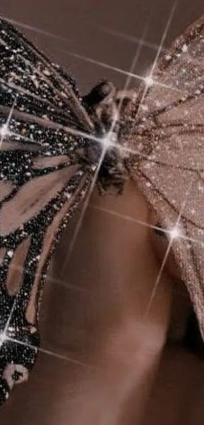 Close-up of shimmering butterfly wings in black and champagne hues.