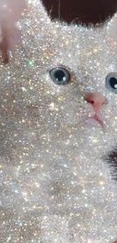 A glitter-covered kitten sparkling with white and colorful highlights.