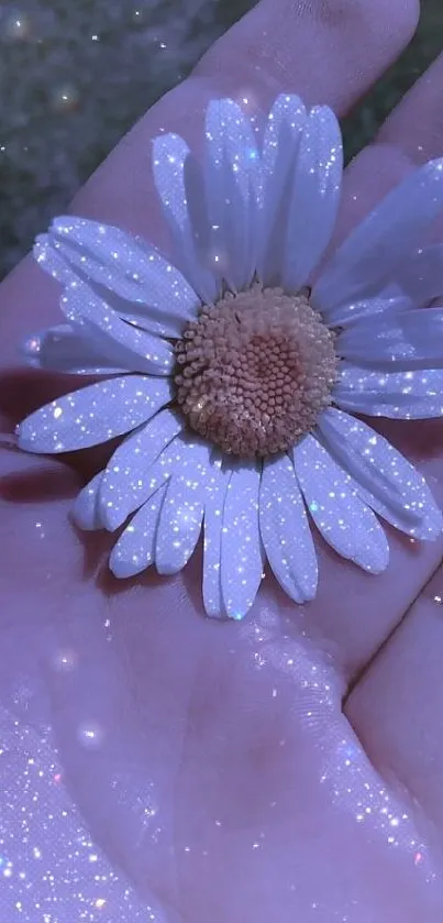 A hand holds a daisy covered in sparkling glitter.