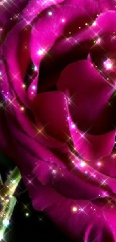 Dazzling pink rose wallpaper with sparkles.