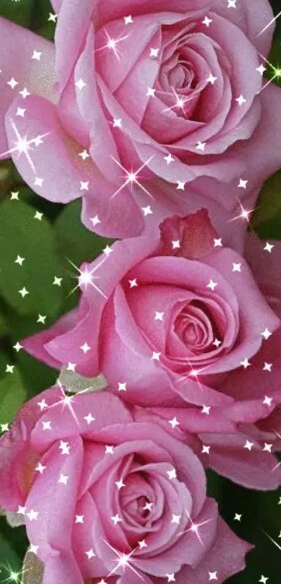 Pink roses and sparkles mobile wallpaper.