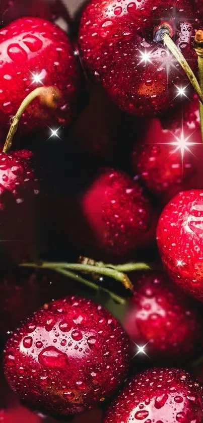 Close-up view of sparkling red cherries with water droplets.