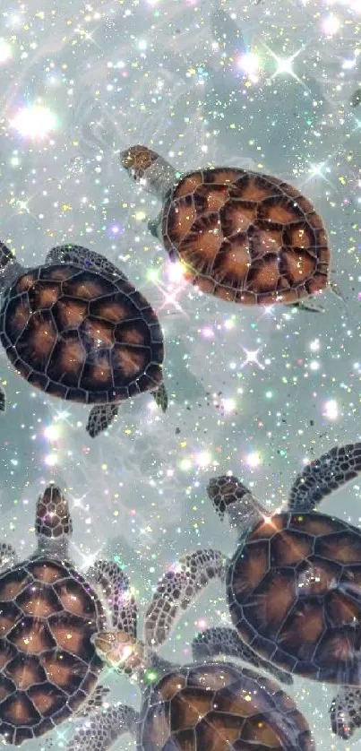 Turtles swim in a glittering, light blue ocean.