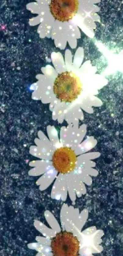 Glittery background with white daisies.