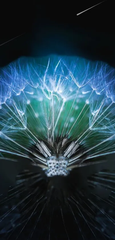 Ethereal glowing dandelion with cyan blue hues on a dark background.