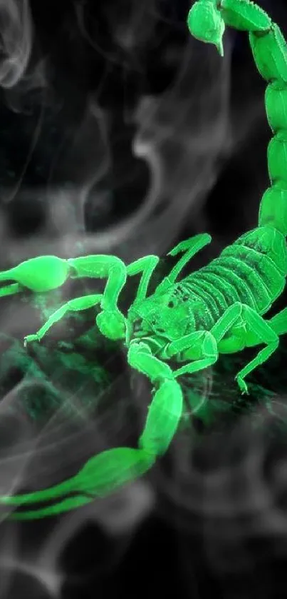 Glowing green scorpion on black background wallpaper.