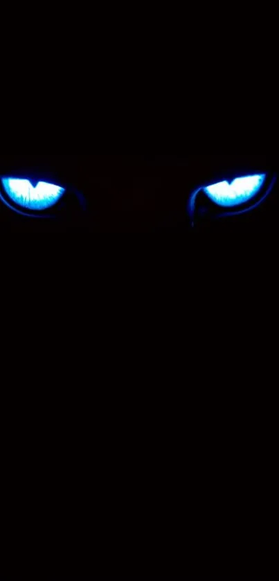 Glowing blue eyes in a dark background wallpaper.