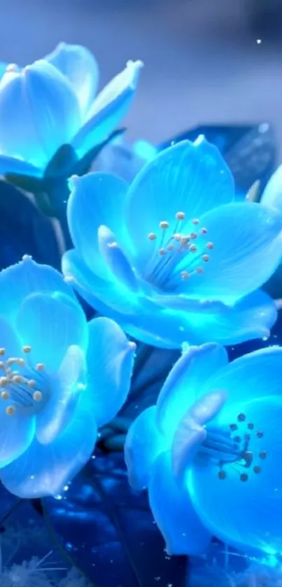 Glowing blue flowers in full bloom