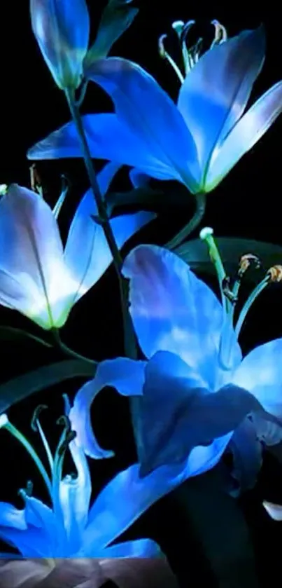 Glowing blue lilies against a dark backdrop for elegant mobile wallpaper.