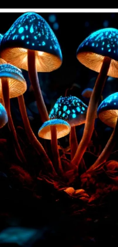 Glowing blue mushrooms with orange stalks on a dark background.