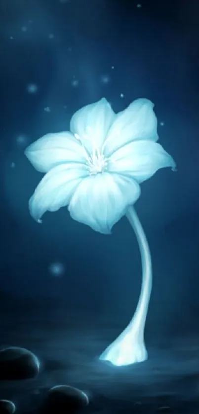 Glowing blue flower against dark night background.