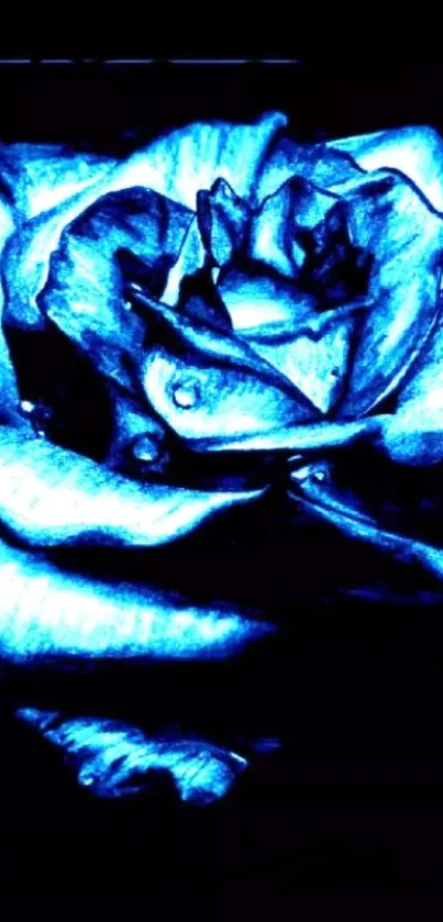 Artistic glowing blue rose with dark background.