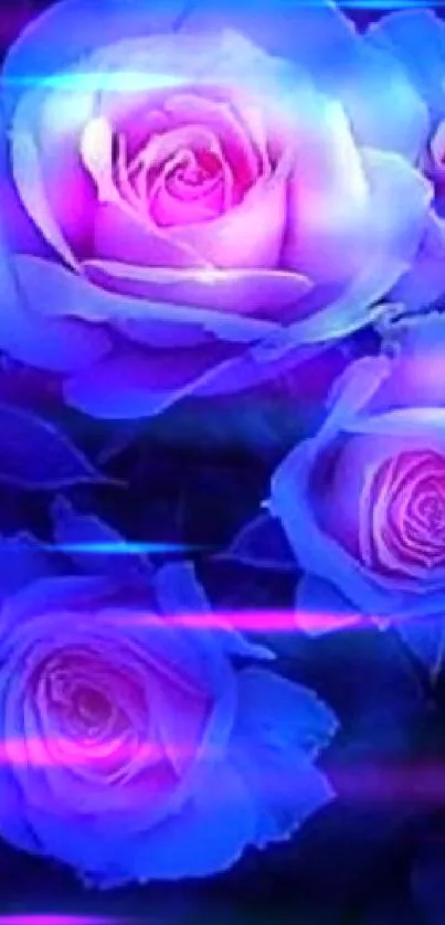 Glowing blue roses in a dark background wallpaper.