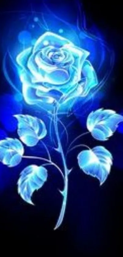 Glowing blue rose on dark background design.