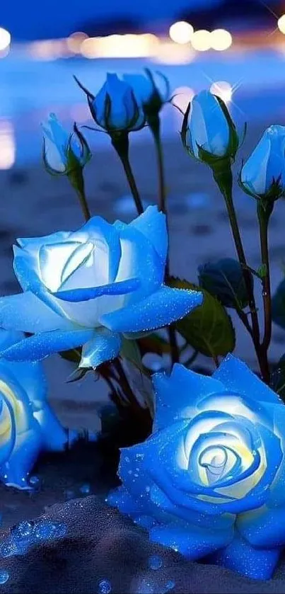 Glowing blue roses on a night beach, ideal for calming mobile wallpaper.