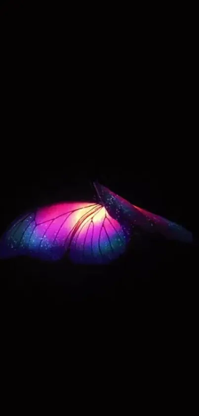 Vibrant neon butterfly glowing on a dark background, perfect for mobile wallpaper.