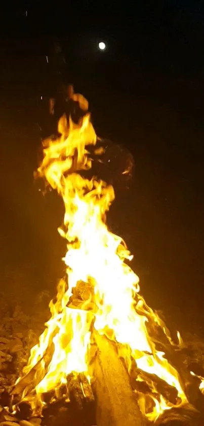 Flames of a campfire with moonlit night sky background.